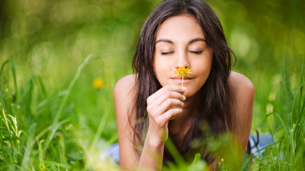 Por que o vento de fim de tarde costuma trazer cheiro de terra e deixar o ar com aquela sensação de mudança