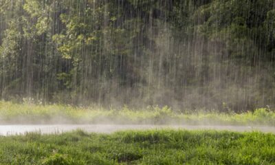 O mistério por trás das chuvas que caem em apenas um bairro e deixam o resto da cidade