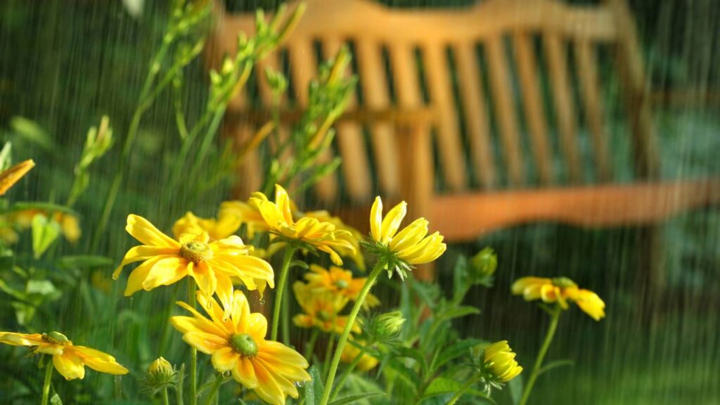 A mudança brusca de temperatura no começo da chuva revela algo curioso do ar