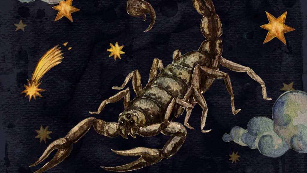 Tudo sobre o signo de Escorpião e suas principais características