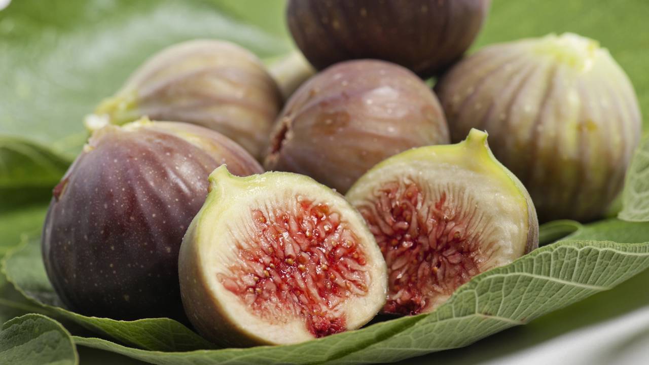 O jeito certo de cultivar figo e acelerar a colheita mesmo em jardins pequenos ou vasos