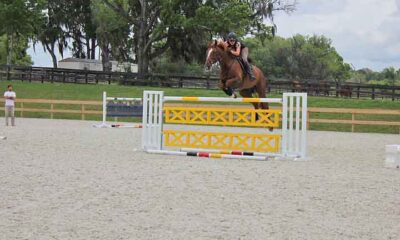 Ocala, na Flórida, ganha projeção internacional como Capital Mundial do Cavalo