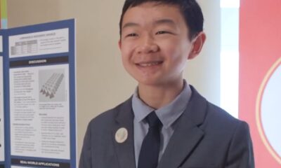 Origami que suporta 10 mil vezes o próprio peso vence prêmio nos Estados Unidos