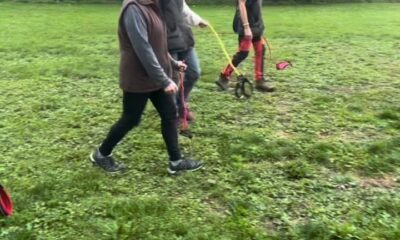 Passeio com cão imaginário vira tendência na Alemanha; conheça o ‘hobby dogging’