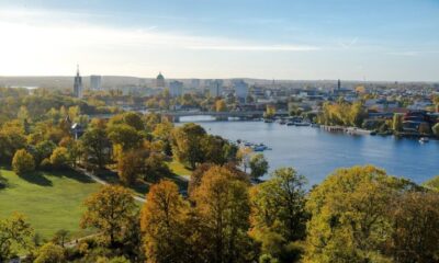 Prática de passear com cachorro imaginário vira tendência na Alemanha; conheça o ‘hobby dogging’