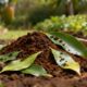 Adubo natural com folhas de mamão que fortalece o solo e ainda ajuda a espantar pragas do jardim