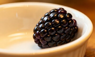 Essa amoreira-preta cresceu junto com a minha filha e hoje as duas têm algo em comum