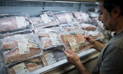 Esses peixes devem ser evitados no mercado