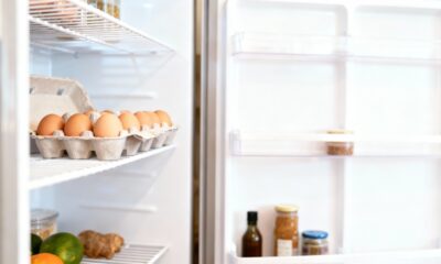 Como guardar ovos da maneira correta e segura para manter o frescor por mais tempo na geladeira