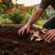 Essa forma de usar borra de café no jardim evita problemas que muita gente nem imagina