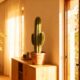 O cacto é símbolo de coragem e determinação no Feng Shui e traz força para qualquer ambiente
