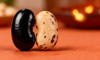 A curiosa razão de o feijão preto ser tão diferente do carioca e mudar até o sabor do prato