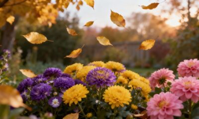 Essas flores resistem ao outono e surpreendem com cores que ninguém espera