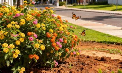 A lantana é a flor que floresce em pouco tempo e atrai borboletas para qualquer cantinho da casa