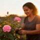 A emoção de plantar uma roseira para minha avó e ver a primeira flor surgir no dia em que ela faria aniversário