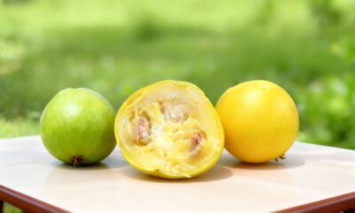 A fruta pouco conhecida que surpreende com sabor de bala de iogurte e encanta quem experimenta