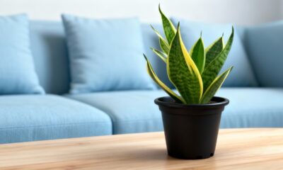 A espada de Santa Bárbara é conhecida por sua força e simbolismo de proteção