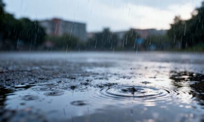 O aroma da chuva após dias secos desperta uma sensação difícil de ignorar