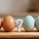 Ovos de galinha ou ovos de pata, qual é o mais saudável para consumir?