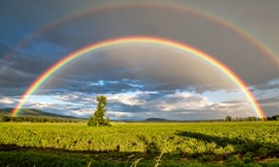 Por que alguns arco-íris aparecem duplicados e criam uma cena tão rara