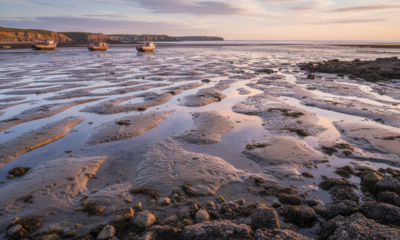 Por que o mar recua antes de algumas tempestades e cria uma cena tão estranha