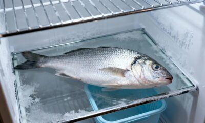 O jeito certo de armazenar peixe na geladeira para manter frescor e sabor por mais tempo