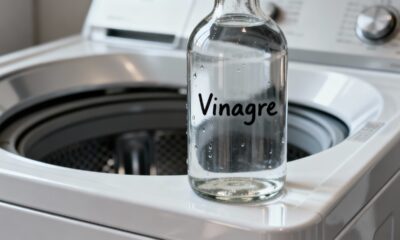 O erro grave na limpeza da máquina de lavar com vinagre