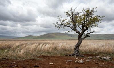 Por que o céu fica cinza mesmo quando não vai chover e deixa o dia com aquela luz mais suave
