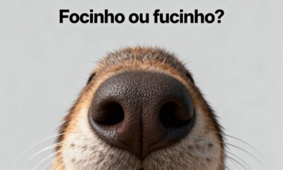 Focinho ou fucinho? Apenas uma forma está correta