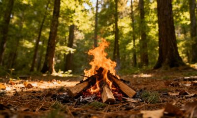 Qual é o aumentativo de “fogo”?