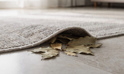 Esse truque com folha de louro disfarça cheiros fracos e deixa o ambiente mais neutro e fresco por várias horas