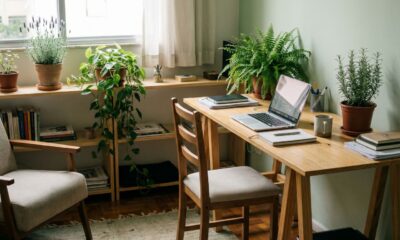 Ter plantas em casa virou ritual de autocuidado e foco para rotinas cada vez mais tensas