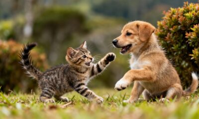 Você sabe qual o coletivo de "filhote"?