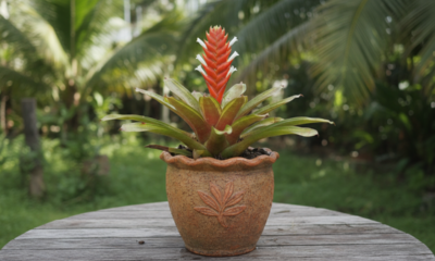 Essa planta ganhou um significado especial ligado a momentos únicos