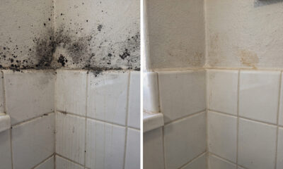 O erro que faz o mofo preto sempre voltar (e como resolver com um truque de limpeza que protege a casa por muito mais tempo)