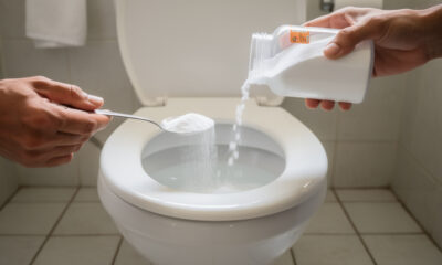 Mistura com sal reduz uso de produtos químicos