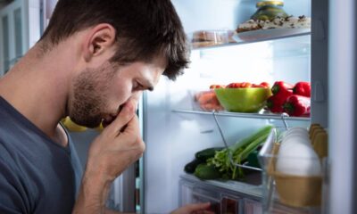 Como eliminar o mau cheiro da geladeira com soluções práticas que funcionam