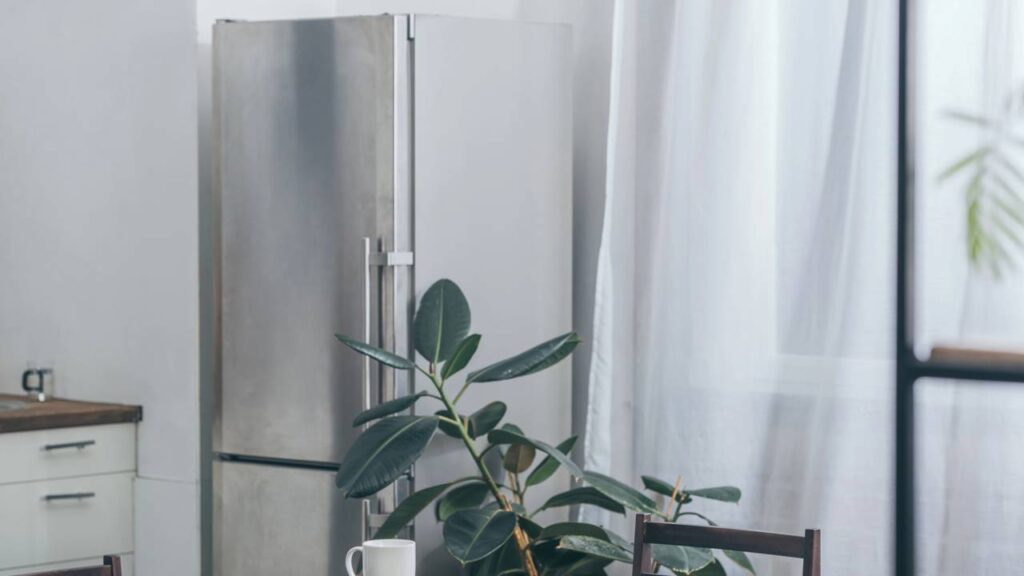 O uso da geladeira é essencial no nosso cotidiano, mas modelos mais antigos podem gastar mais - Créditos: depositphotos.com / AndrewLozovyi