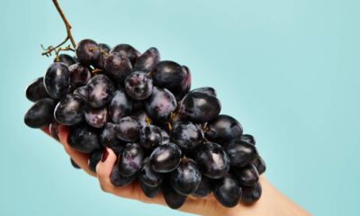 Muita gente não sabe que a uva reage diferente quando cultivada em vaso