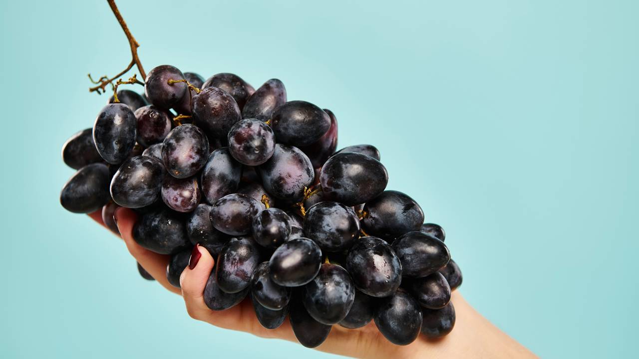 Muita gente não sabe que a uva reage diferente quando cultivada em vaso