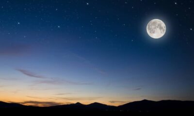 A presença da lua cheia costuma despertar atenção de quem cultiva plantas