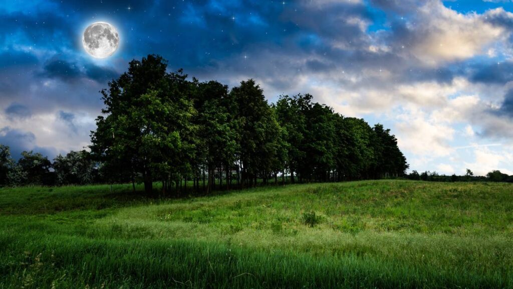 A presença da lua cheia costuma despertar atenção de quem cultiva plantas