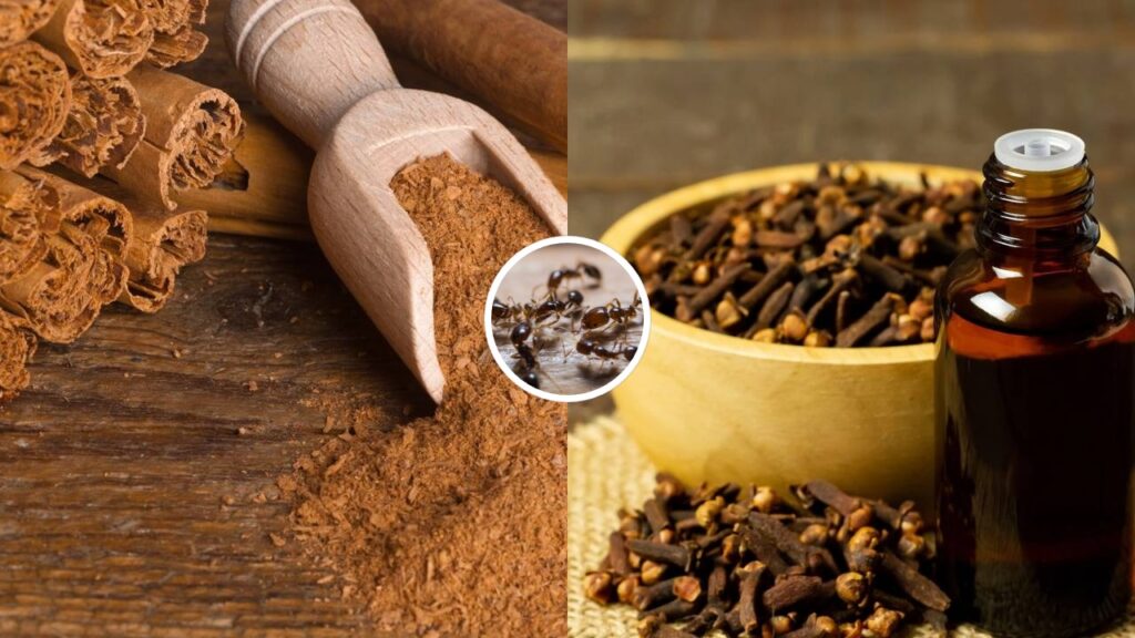 Esses dois ingredientes revelam um efeito surpreendente quando colocados juntos