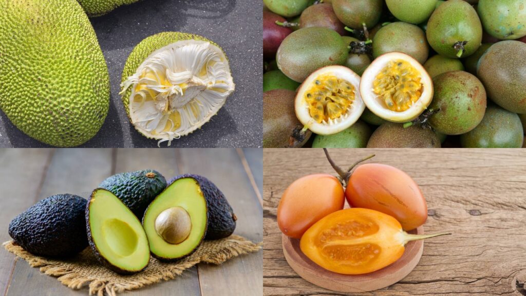 Essa fruta exótica tem mais potássio que a banana