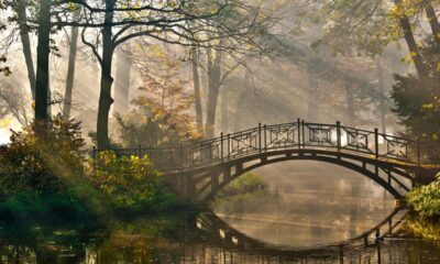 Um ciclo da natureza acontece diariamente, mas quase ninguém percebe