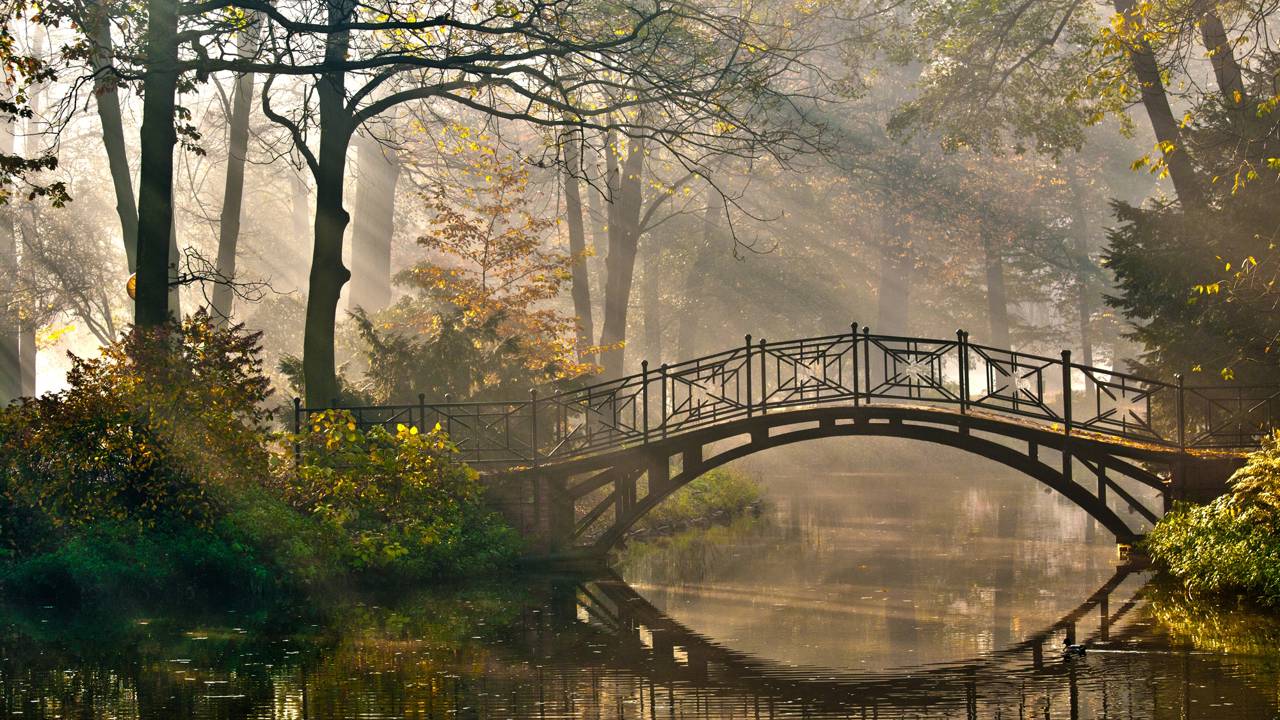 Um ciclo da natureza acontece diariamente, mas quase ninguém percebe