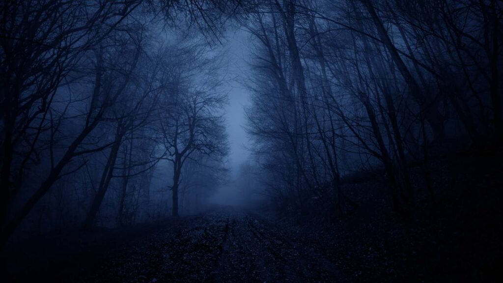 Algumas noites ficam silenciosas demais e isso não acontece por acaso