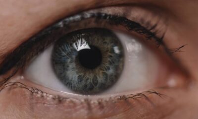 Tremedeira no olho aparece de repente e deixa muita gente intrigada