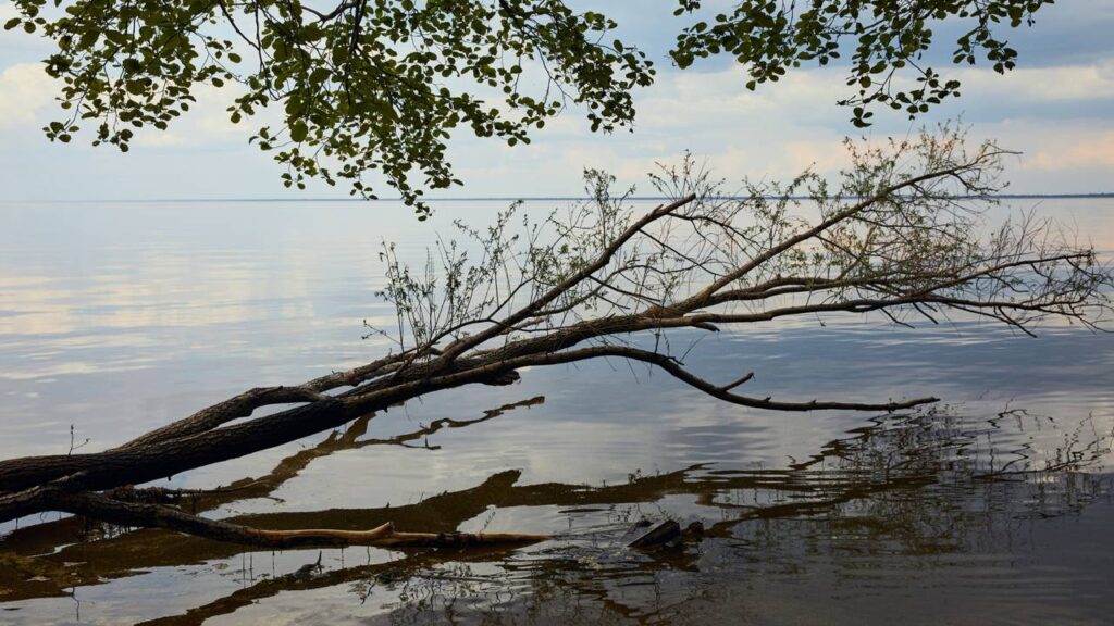O ar perto da água muda a sensação térmica de um jeito curioso