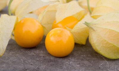 Essa fruta miúda e doce dá frutos o ano inteiro e chama atenção de quem cultiva